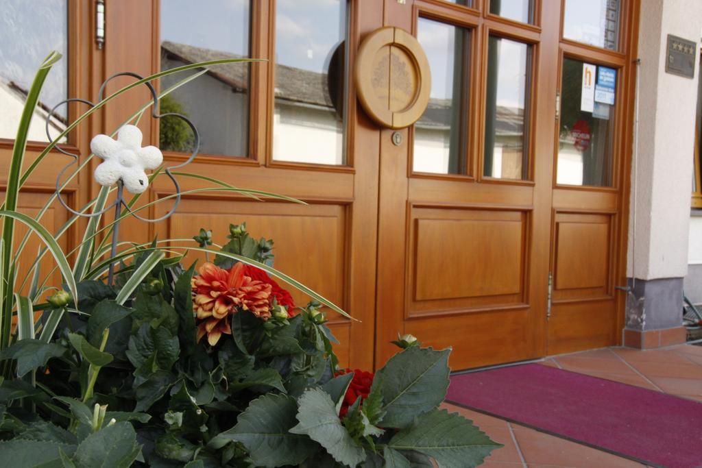 Fetzers Landhotel Ingelheim am Rhein Buitenkant foto